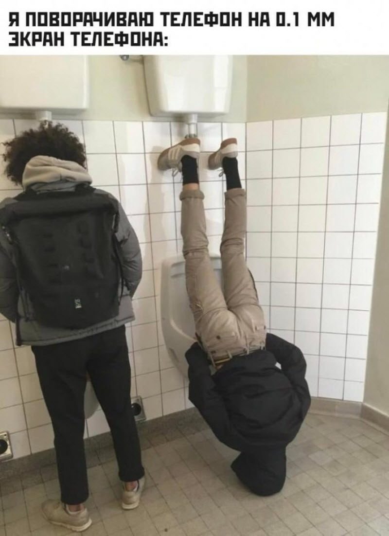 Прикольные картинки
