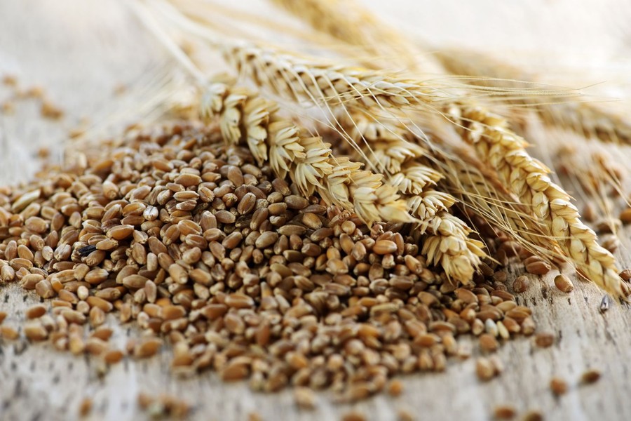 Главные продукты для идеального пищеварения Главные продукты для идеального пищеварения