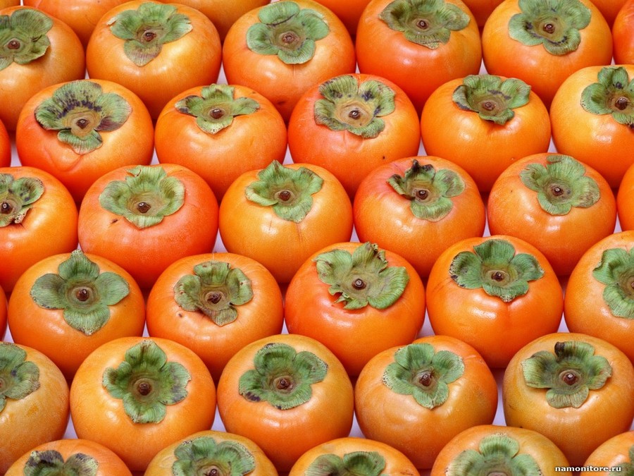 Главные продукты для идеального пищеварения Главные продукты для идеального пищеварения