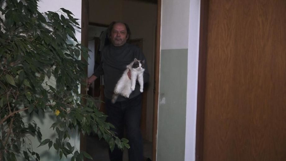Сильный и независимый. Мужчина завел в квартире 20 котов