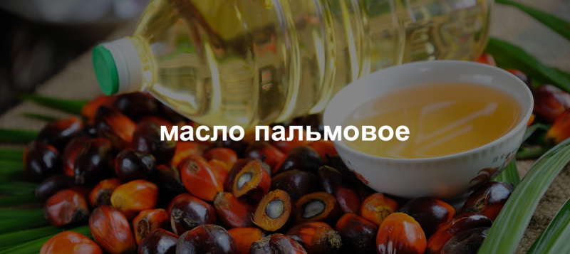 Как определить пальмовое масло в продуктах питания