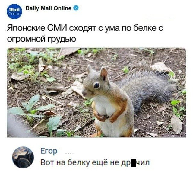 Прикольные картинки