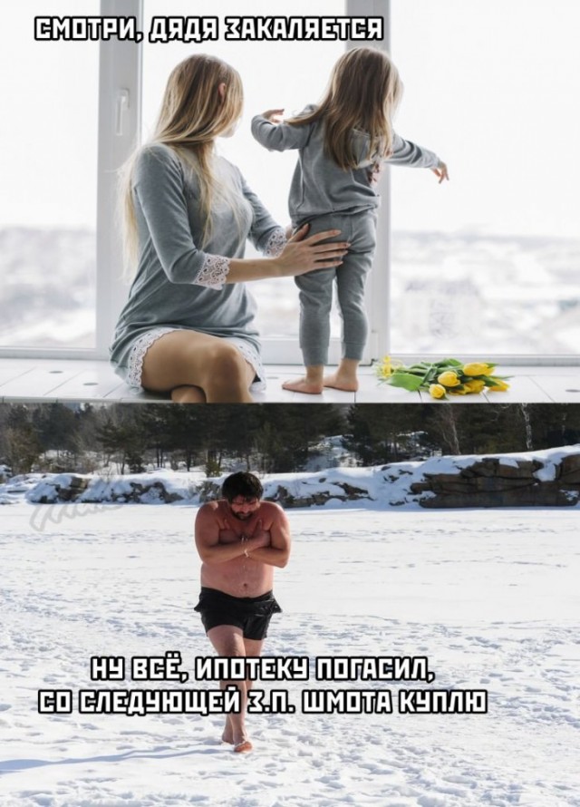 Прикольные картинки