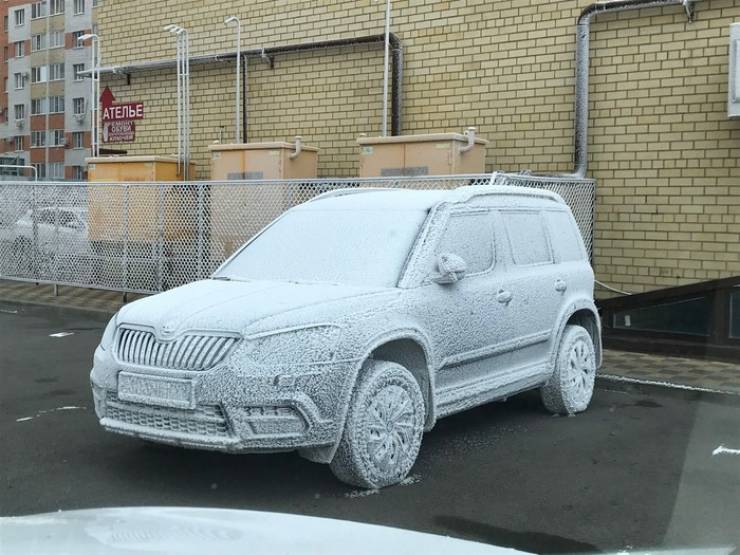 Прикольные картинки