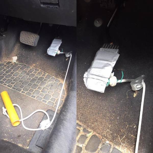 Прикольные картинки