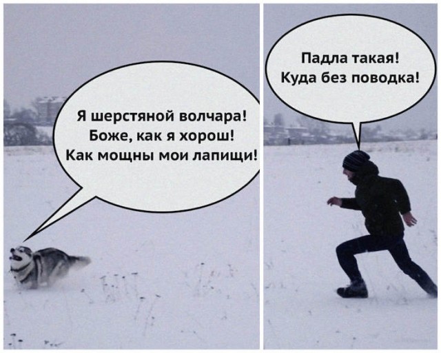 Прикольные картинки