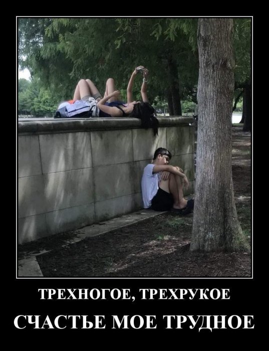 Демотиваторы