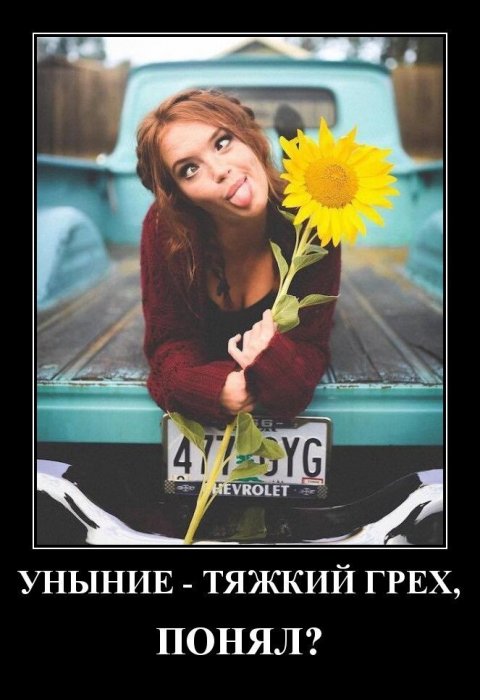 Демотиваторы