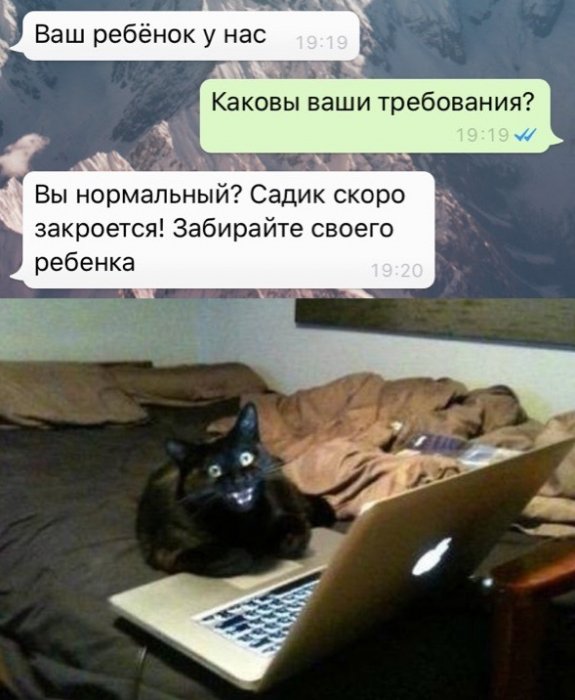 Забавные картинки