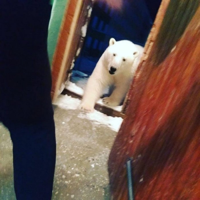 Бывают в жизни огорчения