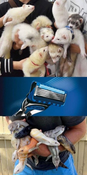 Прикольные картинки