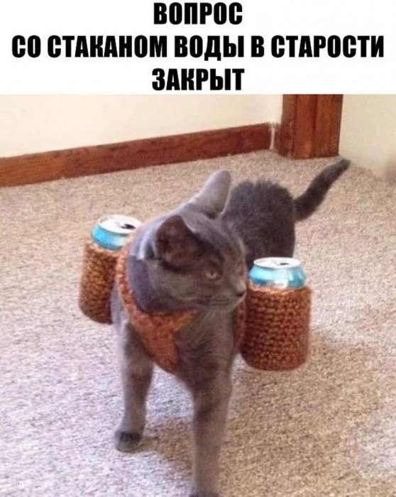 Прикольные картинки