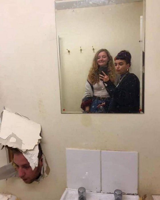 Прикольные картинки