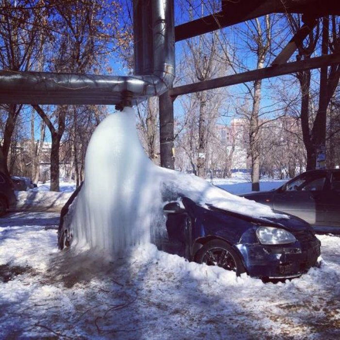Прикольные картинки