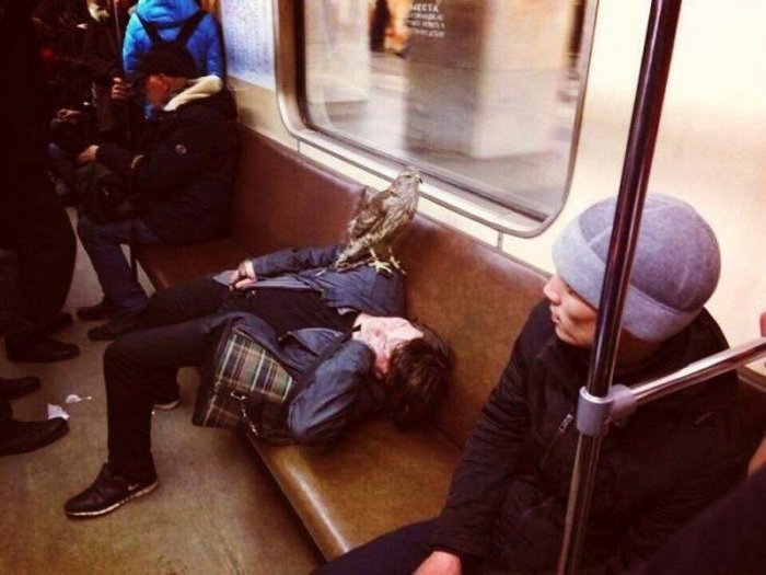 Прикольные картинки