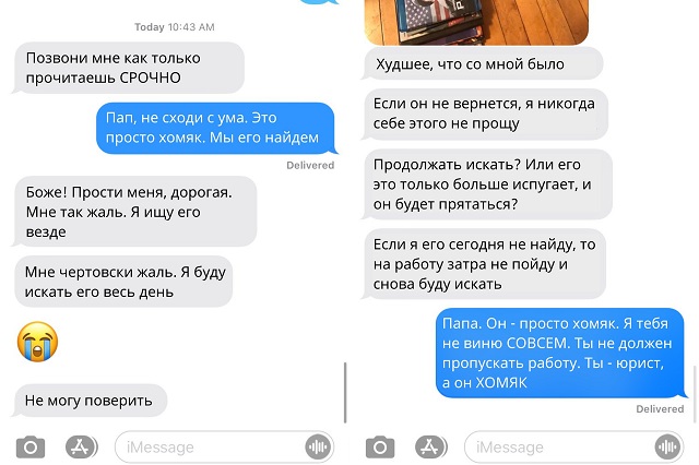 Забавная история о том, как отец потерял любимого хомяка своей дочки Забавная история о том, как отец потерял любимого хомяка своей дочки