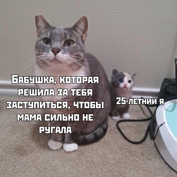 Прикольные картинки