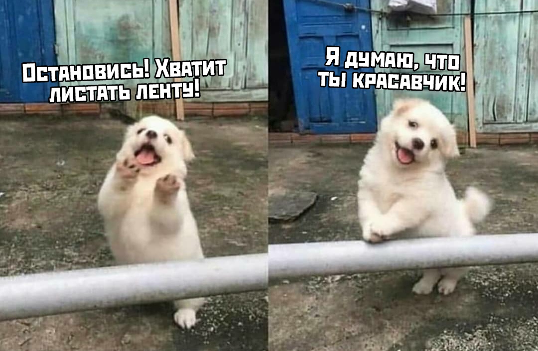 Прикольные картинки