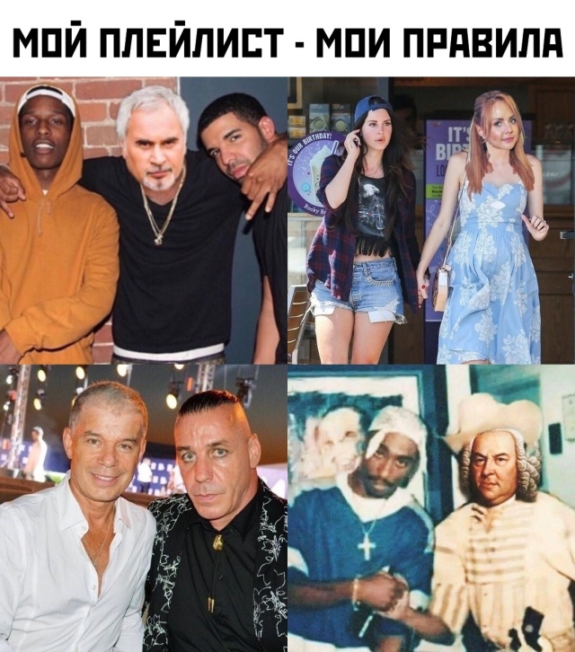 Прикольные картинки
