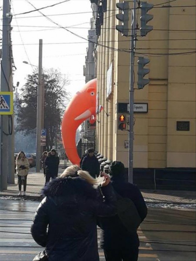 Прикольные картинки