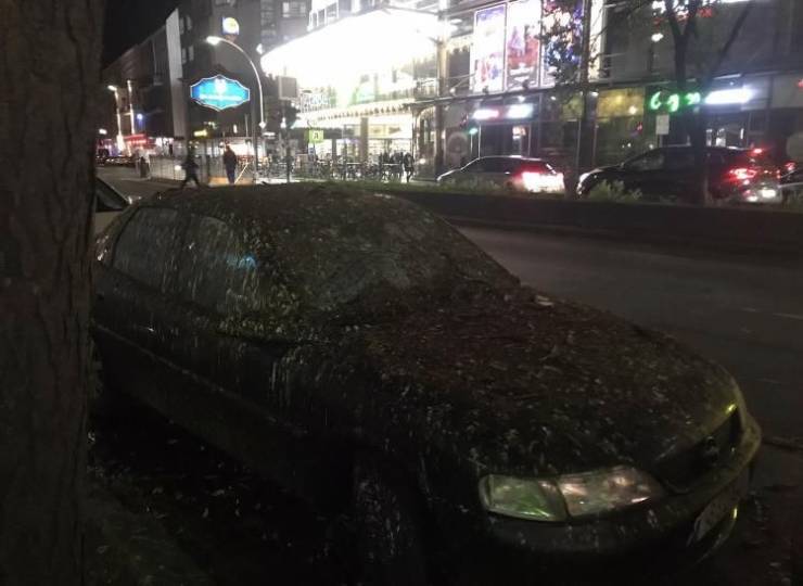 Прикольные картинки