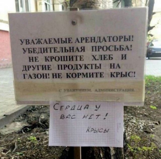 Прикольные картинки