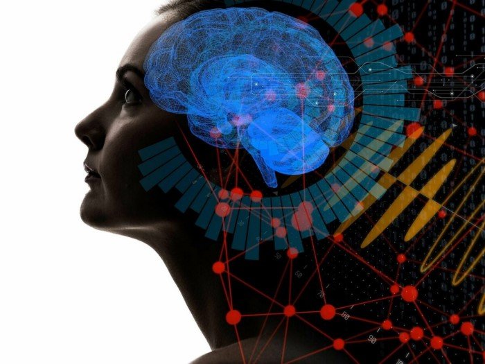 Можно ли повысить свой IQ