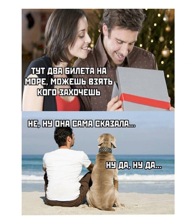 Прикольные картинки