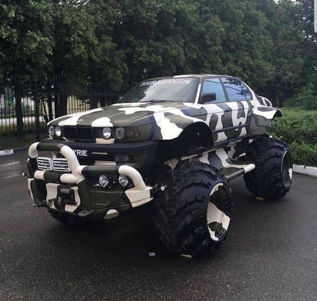 Прикольные картинки