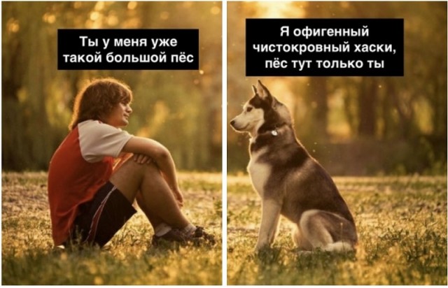 Прикольные картинки