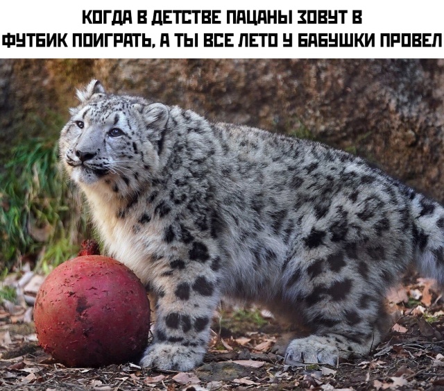 Прикольные картинки