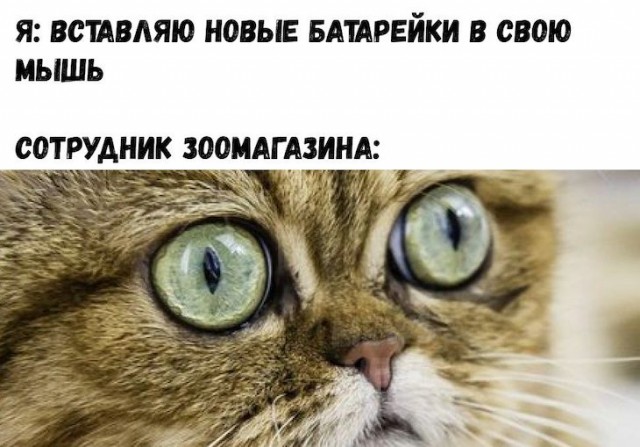 Прикольные картинки