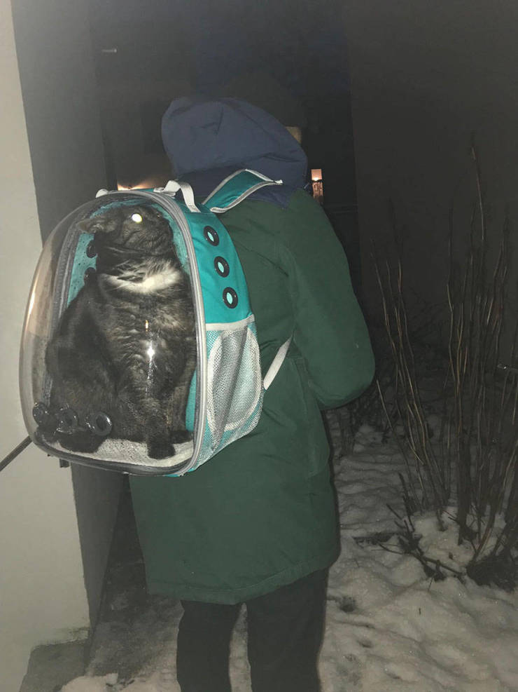 Прикольные картинки