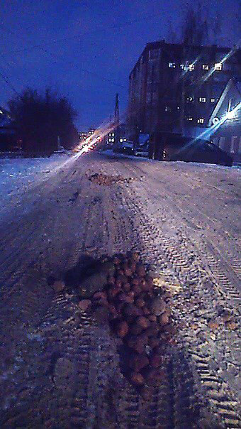 Жители Омска придумали радикальный способ борьбы с ямами