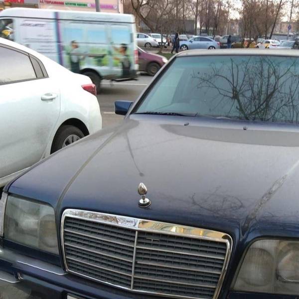 Прикольные картинки