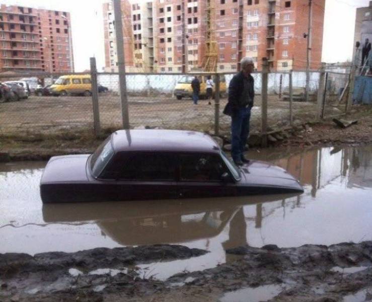 Прикольные картинки