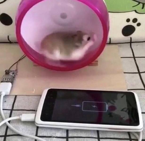 Прикольные картинки