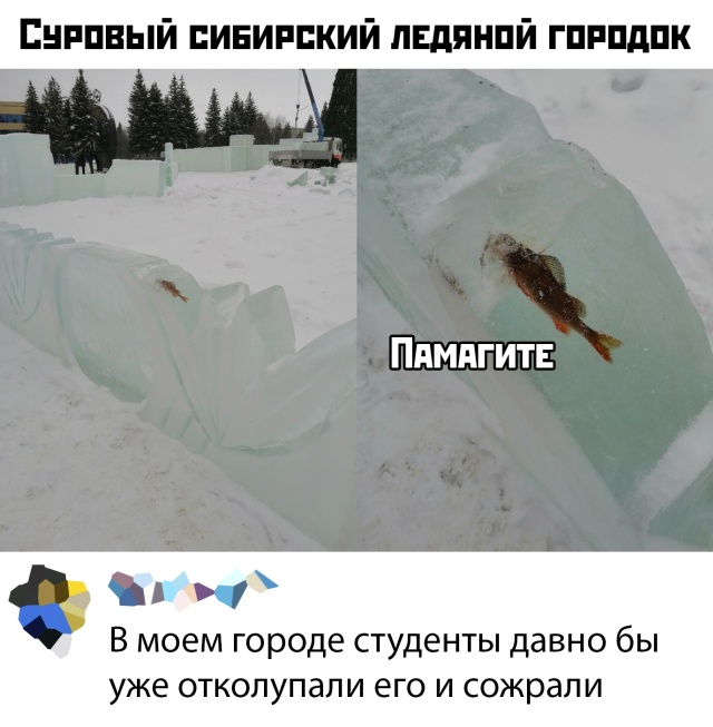 Прикольные картинки