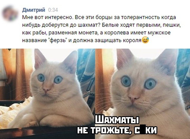 Прикольные картинки