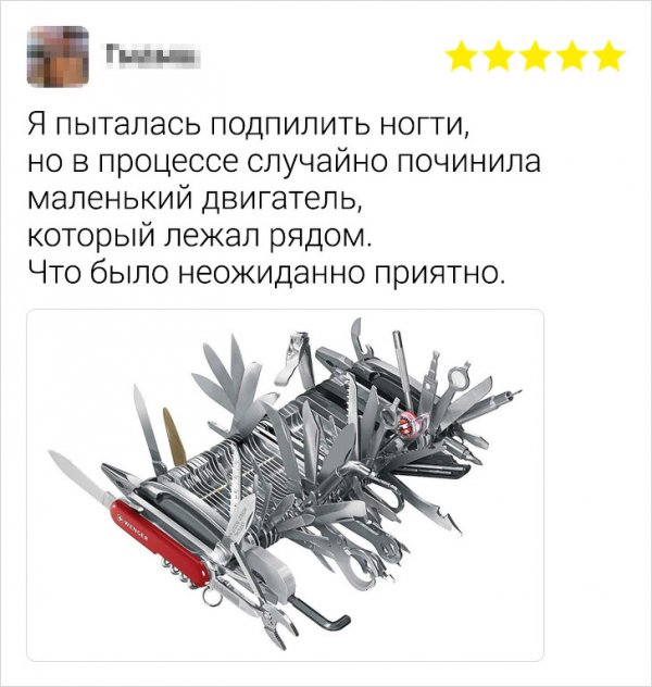 Забавные и ироничные отзывы о товарах в Сети