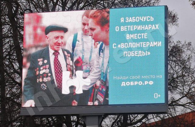 В Орле призывают заботиться о ветеринарах