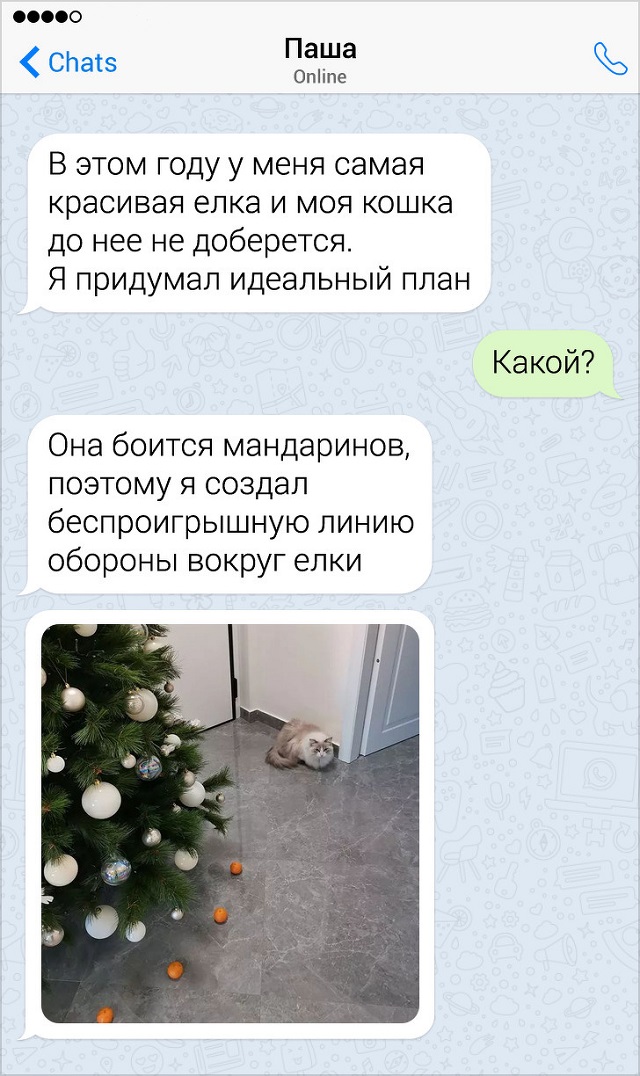 Забавные новогодние переписки