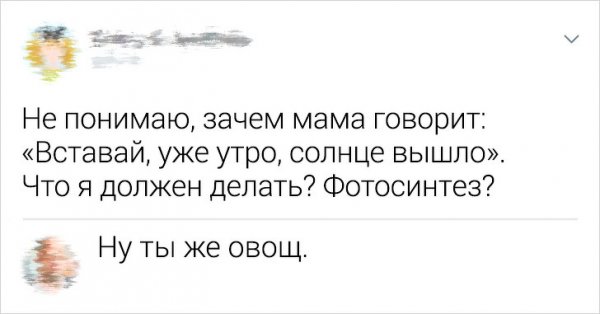Подборка забавных комментов из соцсетей