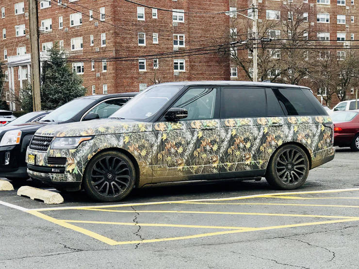 Прикольные картинки