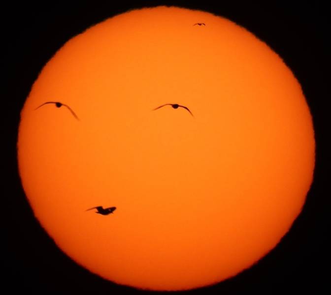 Прикольные картинки