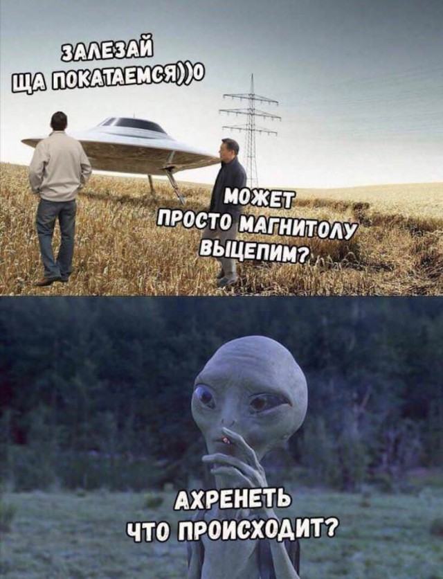 Прикольные картинки