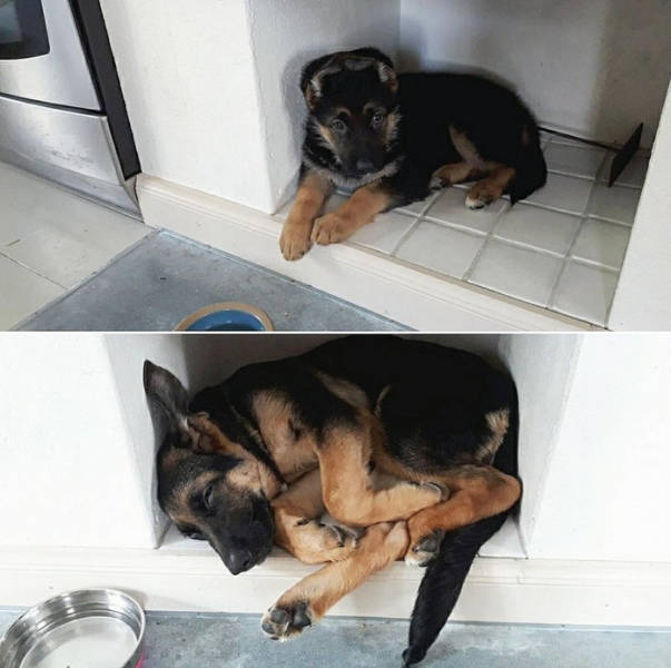 Прикольные картинки