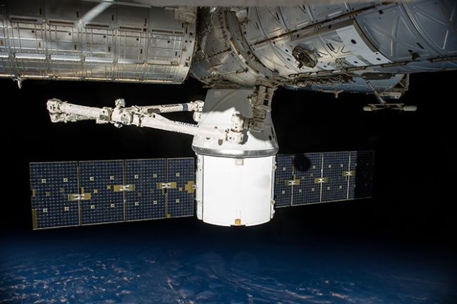 Илон Маск решил отправить на МКС каннабис