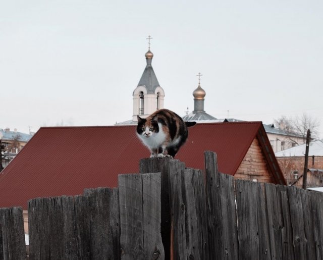 Атмосферные фотографии современной России