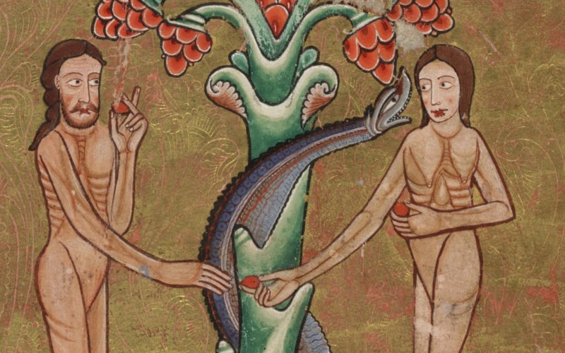 Самые распространенные мифы о змеях Самые распространенные мифы о змеях